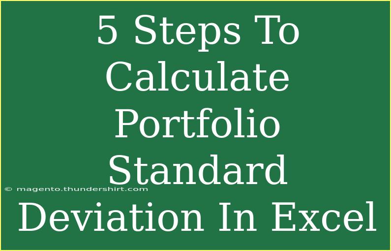 5 Steps To Calculate Portfolio Standard Deviation In Excel