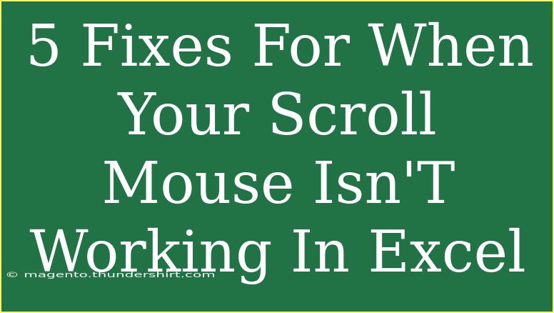 5 Fixes For When Your Scroll Mouse Isn'T Working In Excel