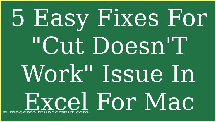 5 Easy Fixes For 