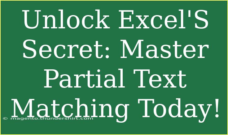 Unlock Excel'S Secret: Master Partial Text Matching Today!