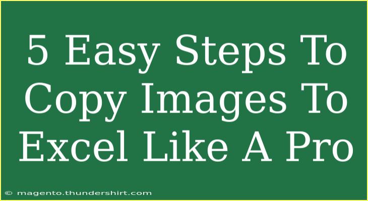 5 Easy Steps To Copy Images To Excel Like A Pro