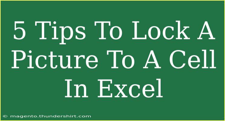 5 Tips To Lock A Picture To A Cell In Excel