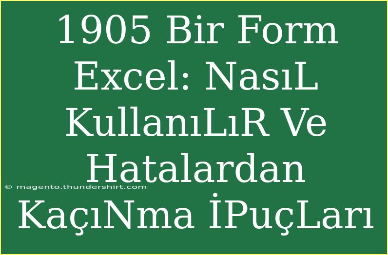 1905 Bir Form Excel: NasıL KullanıLıR Ve Hatalardan KaçıNma İPuçLarı