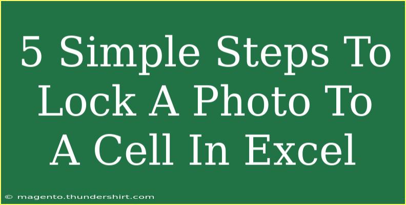 5 Simple Steps To Lock A Photo To A Cell In Excel