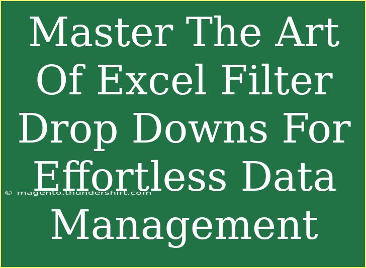 Master The Art Of Excel Filter Drop Downs For Effortless Data Management