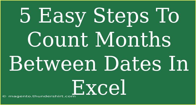 5 Easy Steps To Count Months Between Dates In Excel