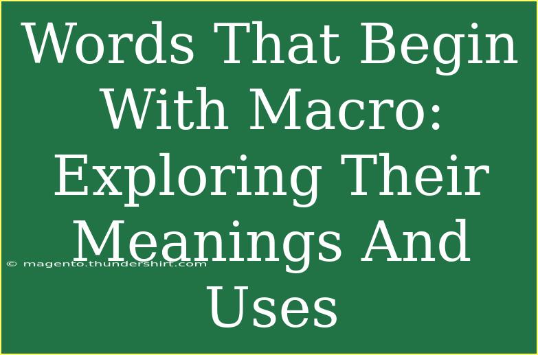 Words That Begin With Macro: Exploring Their Meanings And Uses