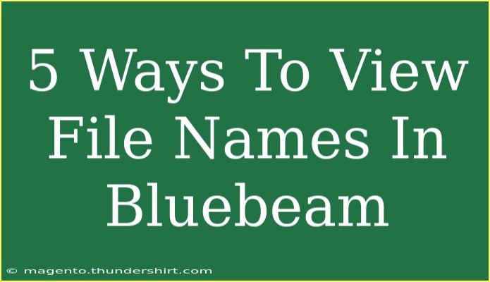 5 Ways To View File Names In Bluebeam