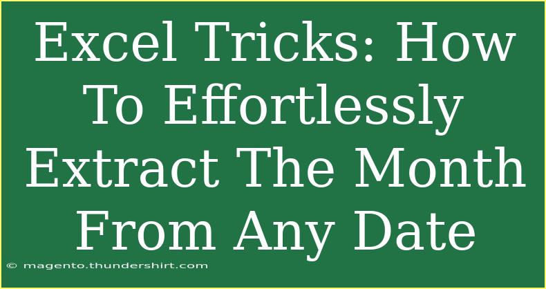 Excel Tricks: How To Effortlessly Extract The Month From Any Date